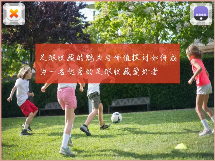 足球收藏的魅力与价值探讨如何成为一名优秀的足球收藏爱好者