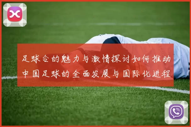 足球合的魅力与激情探讨如何推动中国足球的全面发展与国际化进程