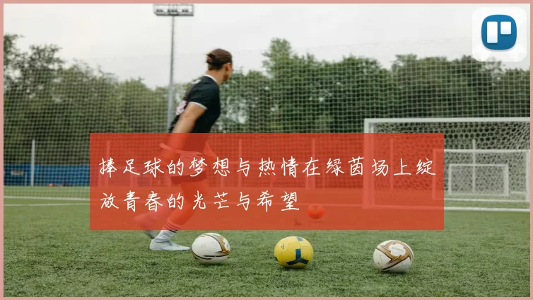 捧足球的梦想与热情在绿茵场上绽放青春的光芒与希望