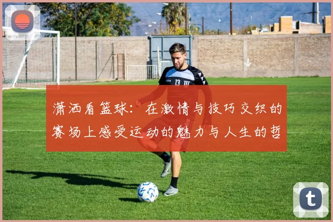 潇洒看篮球：在激情与技巧交织的赛场上感受运动的魅力与人生的哲理